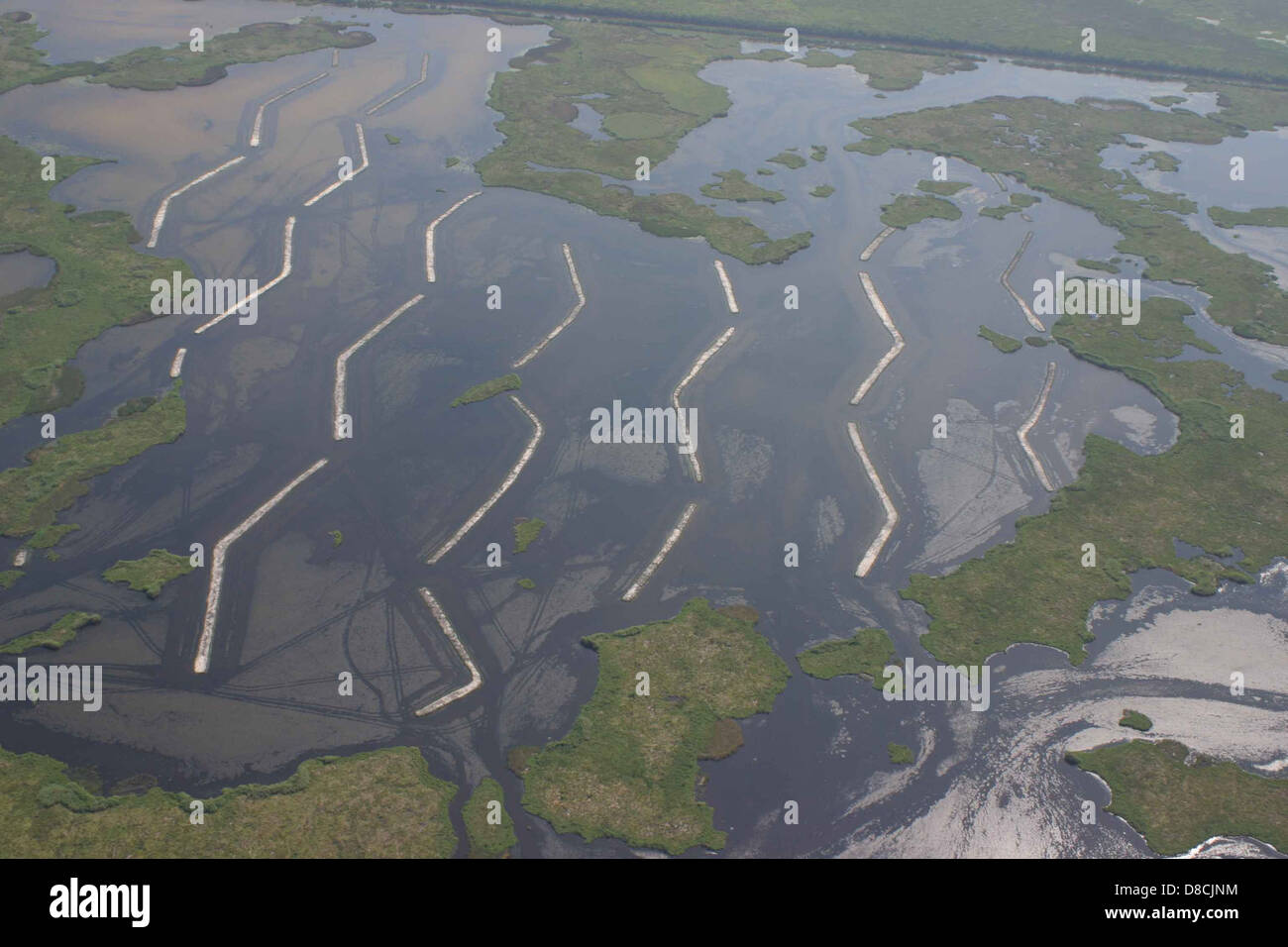 Une image en gros plan d'ailes de canard, possiblement en vol ou reposant sur une surface en terrasses. Les ailes mettent en valeur leurs plumes complexes et la beauté naturelle de l'anatomie des oiseaux. Banque D'Images