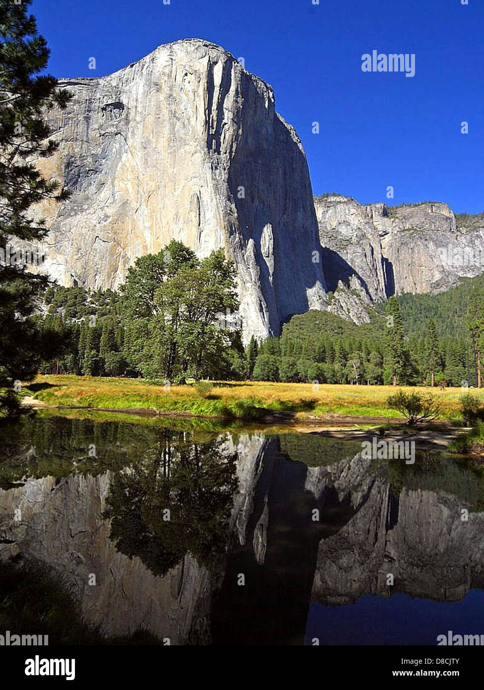 El Capitan, célèbre monolithe de granit dans le parc national de Yosemite, surplombant le paysage environnant, connu pour ses impressionnantes formations rocheuses et sa beauté naturelle. Banque D'Images