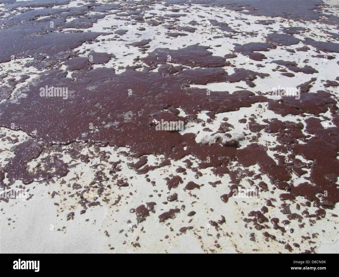 L'image montre une masse de pétrole, probablement due à un déversement de pétrole, flottant sur l'eau. Les déversements d'hydrocarbures nuisent aux écosystèmes aquatiques et nuisent à la vie marine et à la qualité de l'eau. Banque D'Images