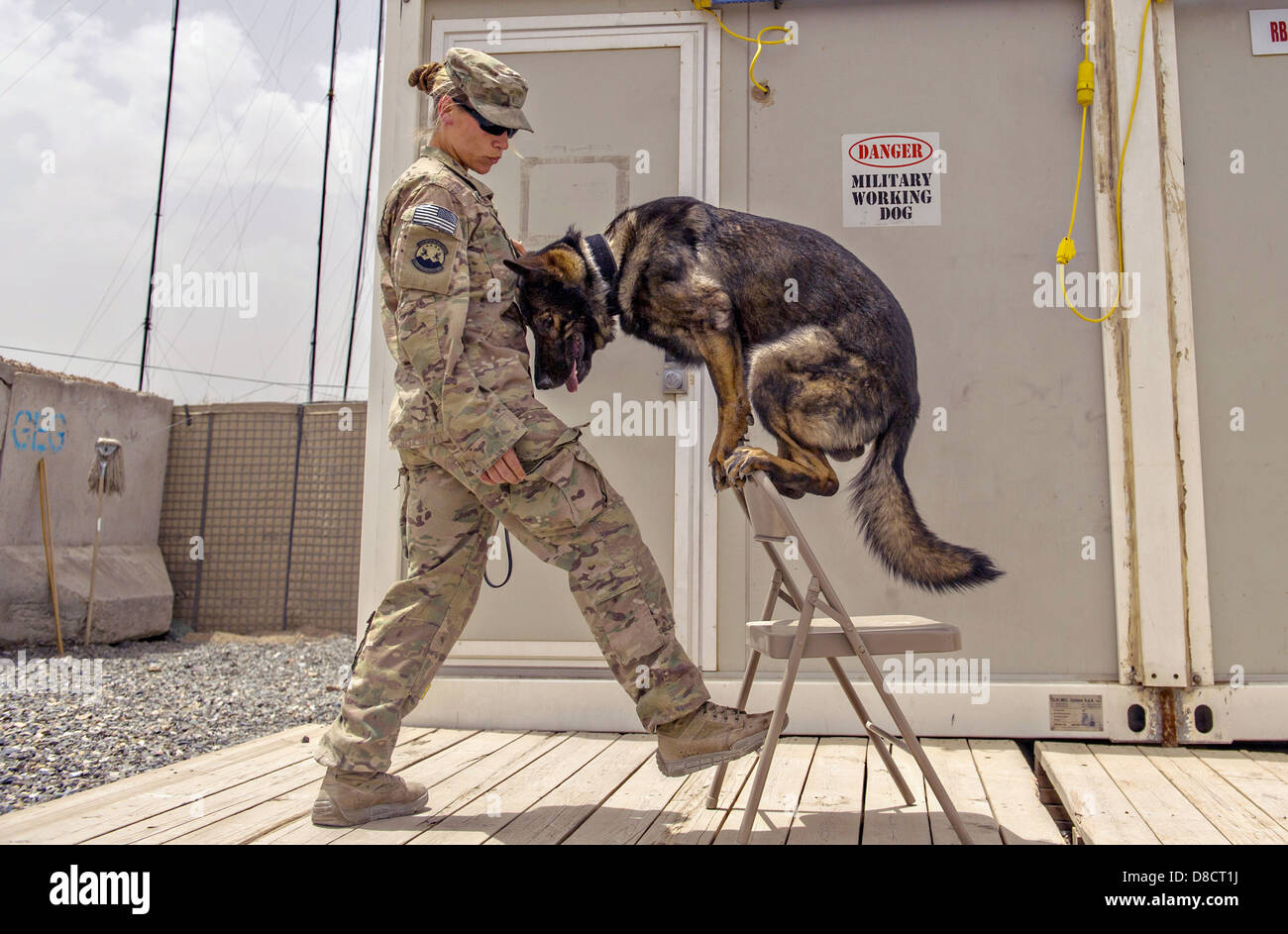Le sergent de l'US Air Force. Jessie Johnson, un conducteur de chien de travail militaire avec la 3ème Division d'infanterie et son chien, Chrach de détection des explosifs au cours de la formation à la base d'opérations avancée Pasab le 24 avril 2013 dans la province de Kandahar, Afghanistan. Banque D'Images