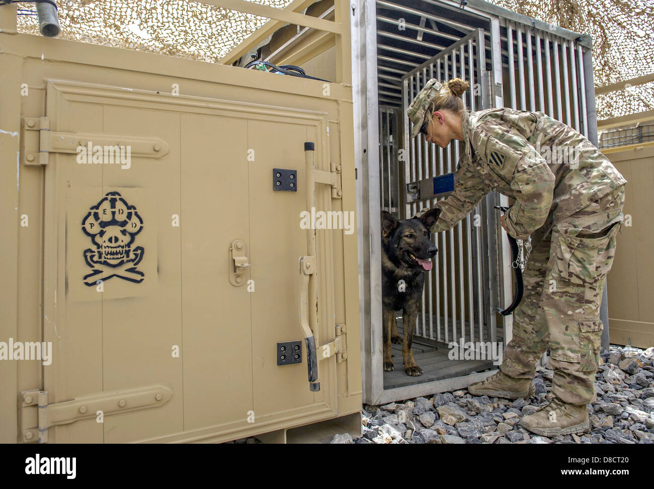 Le sergent de l'US Air Force. Jessie Johnson, un conducteur de chien de travail militaire avec la 3ème Division d'infanterie se déplace son chien, Chrach au chenil à base d'Pasab le 24 avril 2013 dans la province de Kandahar, Afghanistan. Banque D'Images