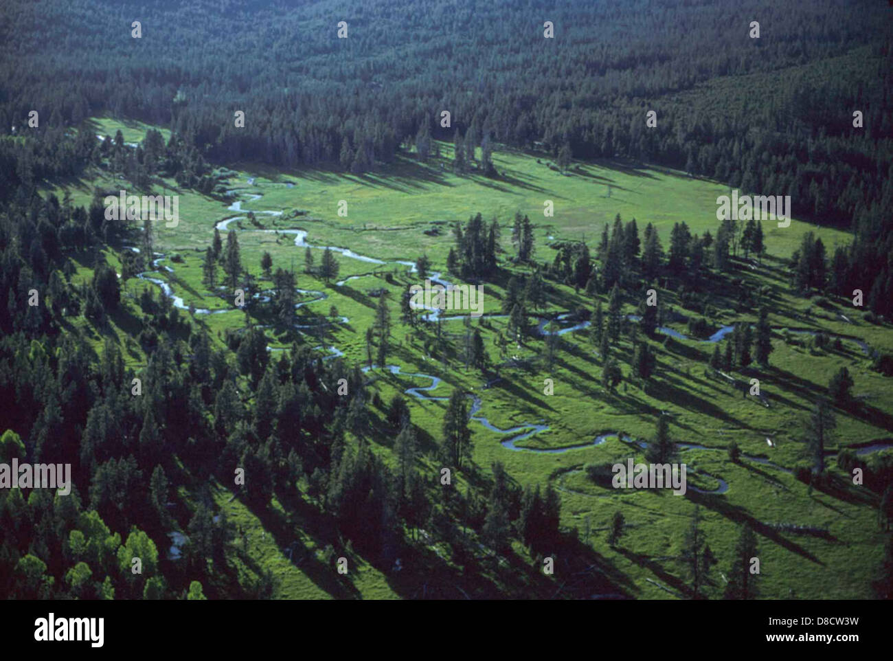 Cette image montre long Creek, une ville de l'Oregon, avec des vues panoramiques sur le paysage environnant. La photo met en évidence le cadre rural, avec le ruisseau qui traverse la région, entouré de forêts et de champs ouverts, reflétant l'environnement calme et naturel de cette petite ville. Banque D'Images