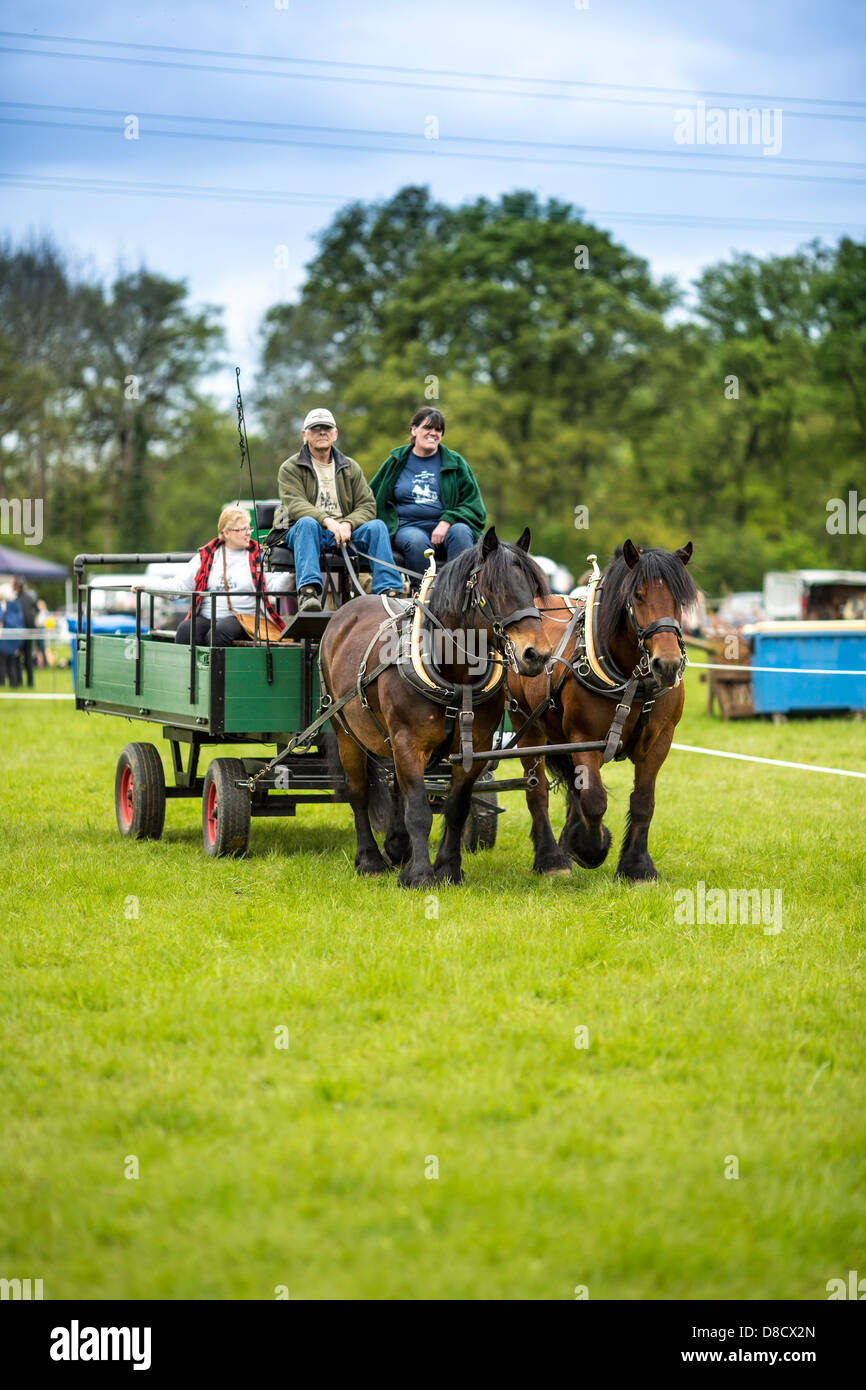 Heavy Horse Show est Bysshee Surrey England Banque D'Images