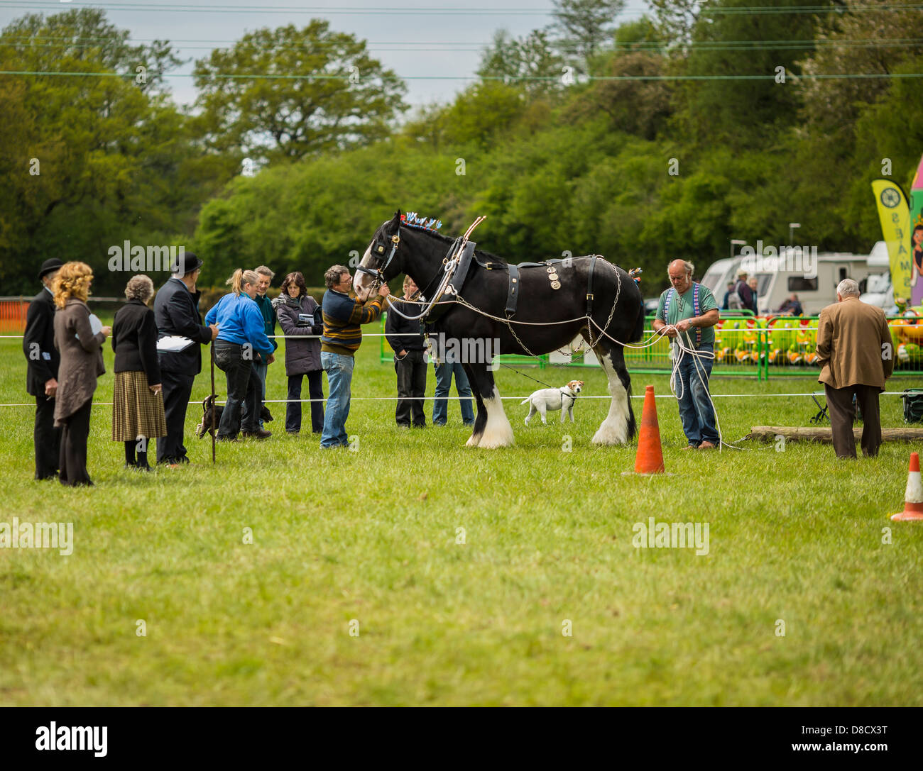 Heavy Horse Show est Bysshee Surrey England Banque D'Images