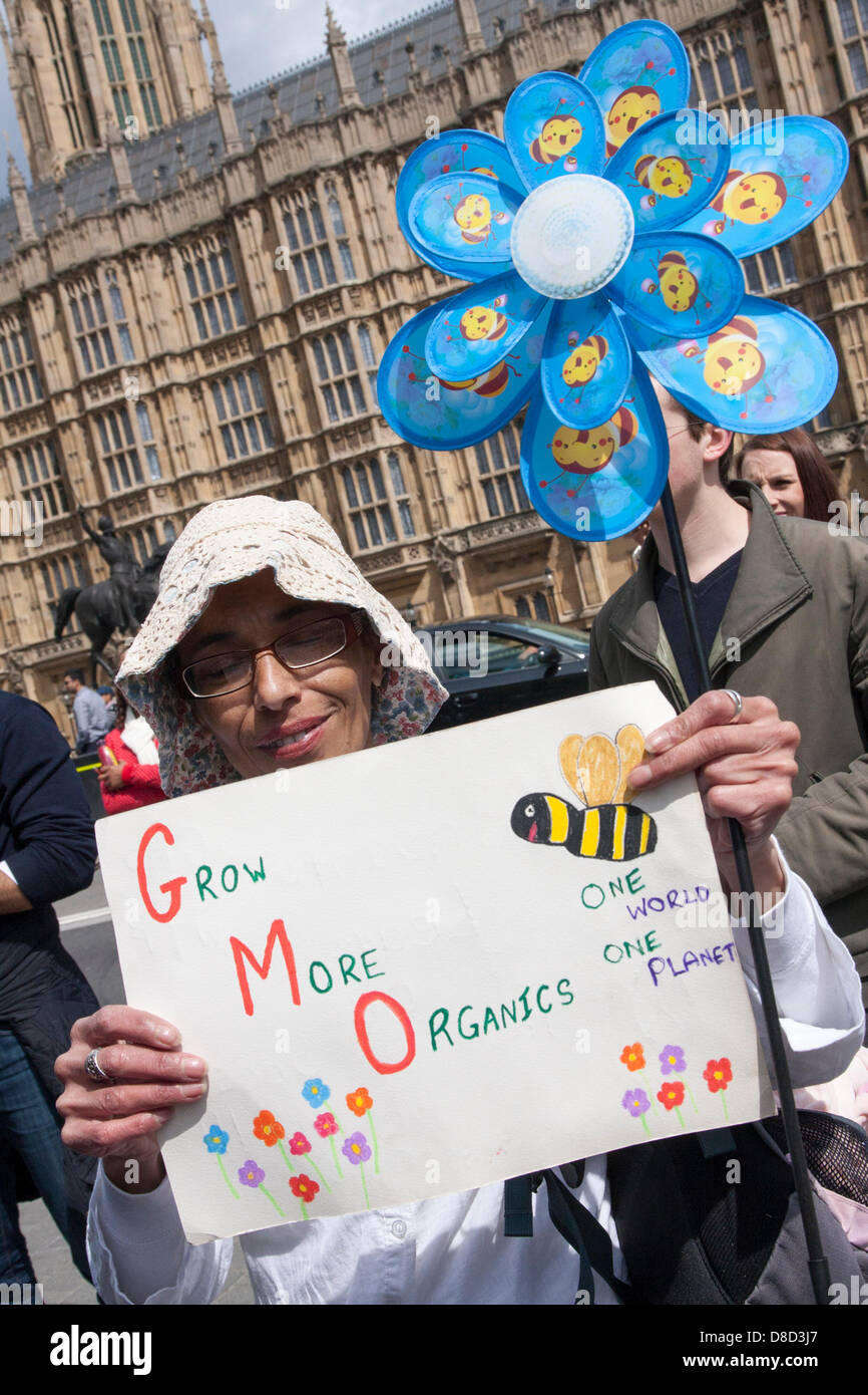 2013-05-25 Westminster, Londres. Un manifestant avec son étiquette d'anti-OGM démontre à l'extérieur du Parlement Banque D'Images