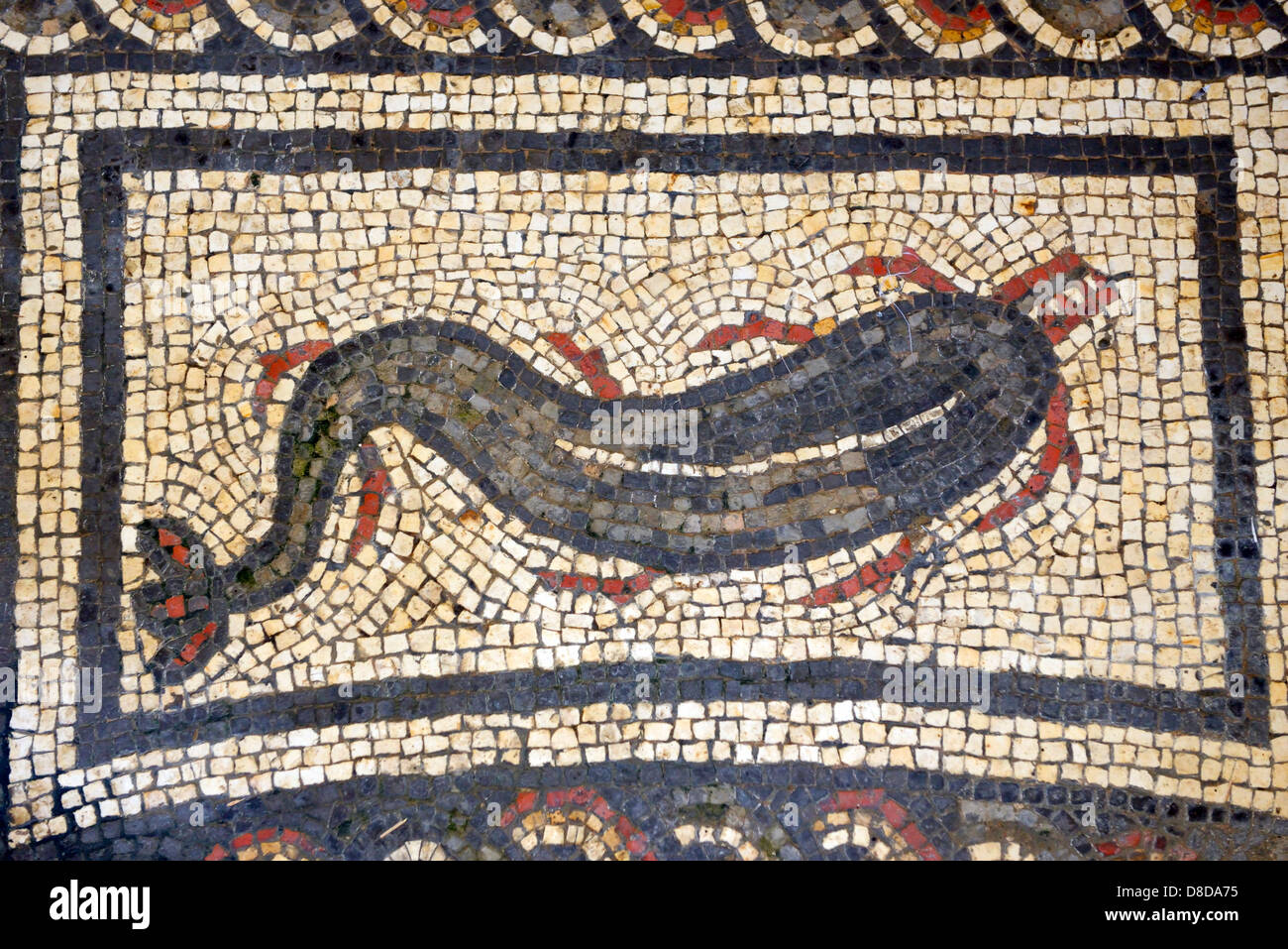 Sol de mosaïque représentant un dauphin nage vues de dessus, à Bignor Roman Villa, Bignor, West Sussex, UK Banque D'Images
