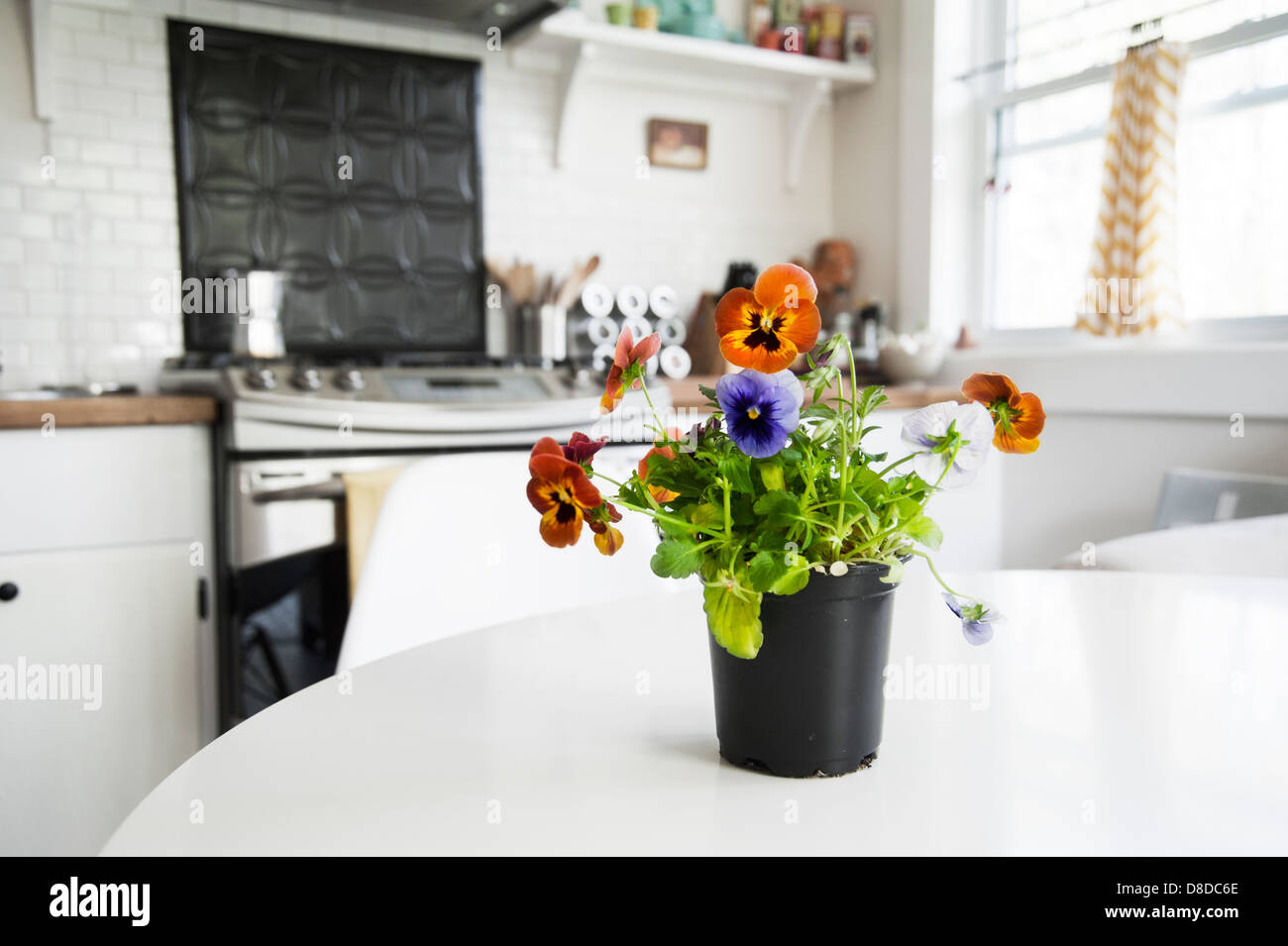 Un pot avec des pensées est assis sur une table de cuisine dans une cuisine de style cottage Banque D'Images