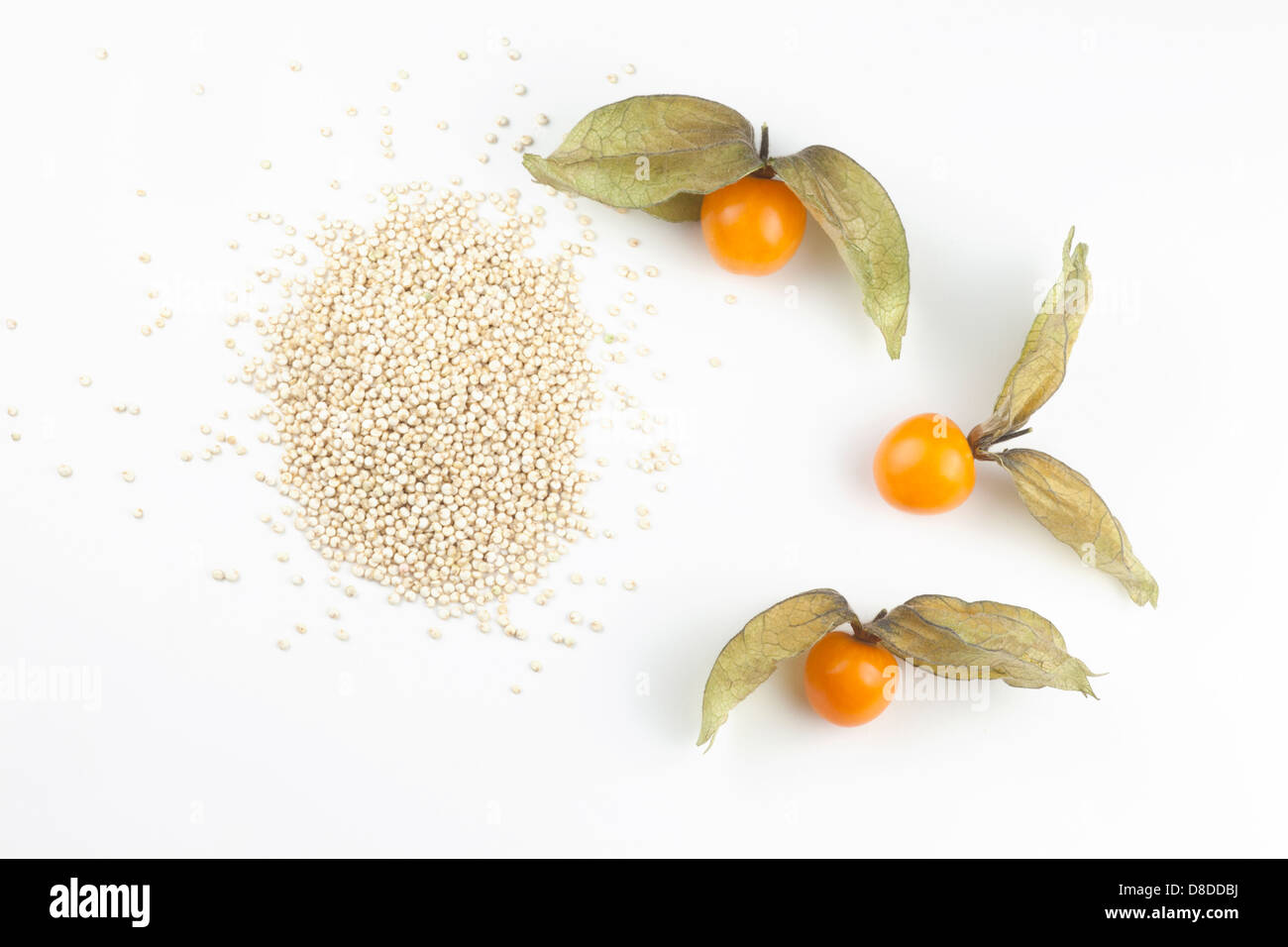 Superpods : quinoa (Chenopodium quinoa) et baies dorées (Physalis peruviana), sur fond blanc Banque D'Images
