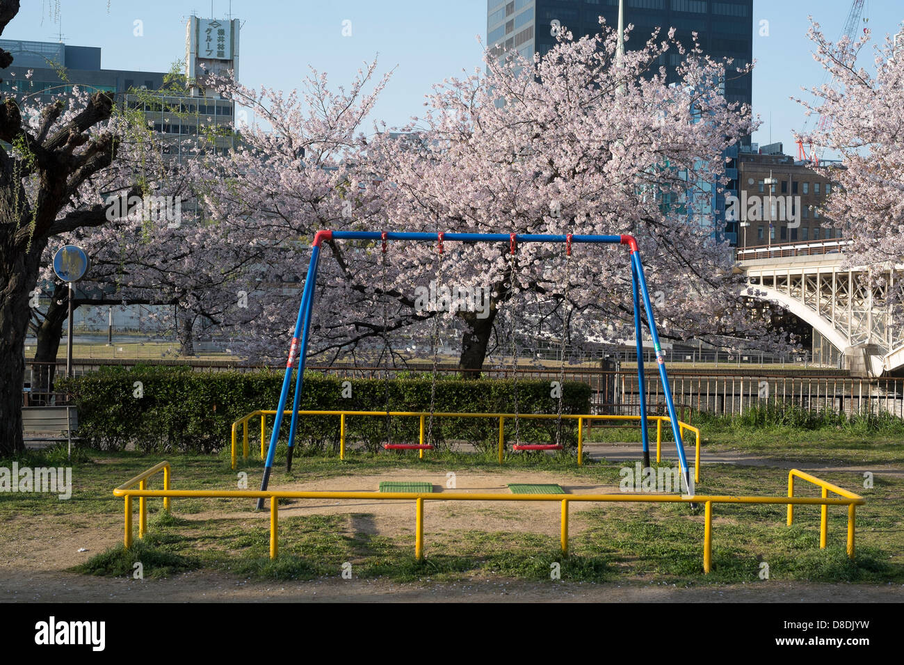 Les fleurs de cerisier (Sakura) à Osaka au Japon. Banque D'Images