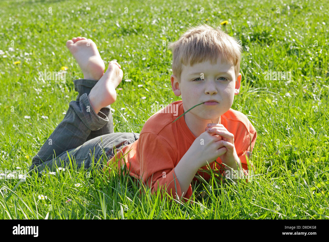 Portrait d'un jeune garçon profitant du beau temps couchée dans un pré Banque D'Images