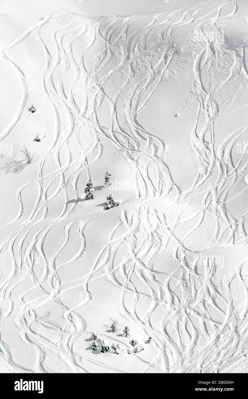 Les traces de ski sur la neige dans les montagnes en journée ensoleillée Banque D'Images