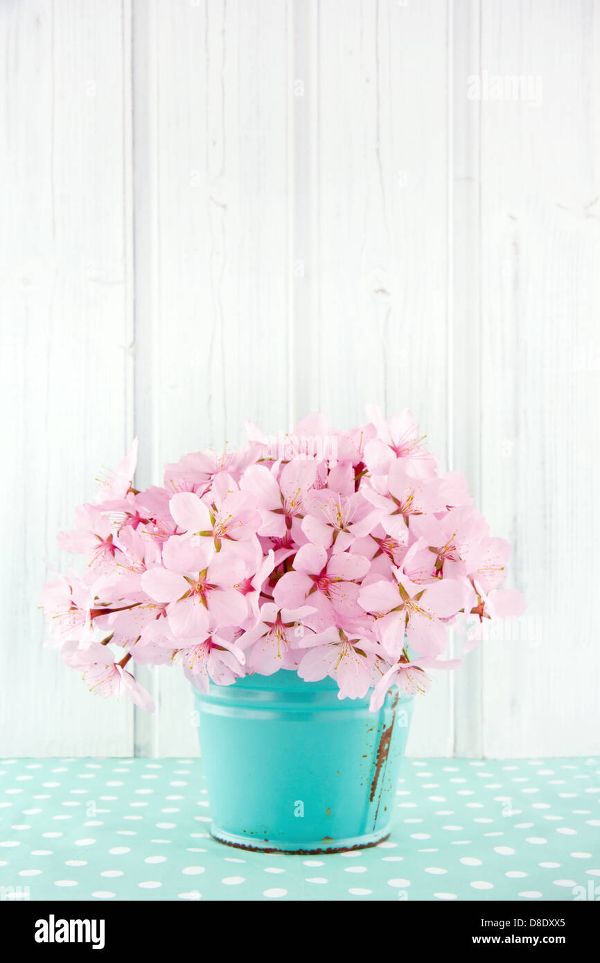 Fleur de cerisier rose bouquet de fleurs bleu clair sur fond de bois blanc et vintage Banque D'Images
