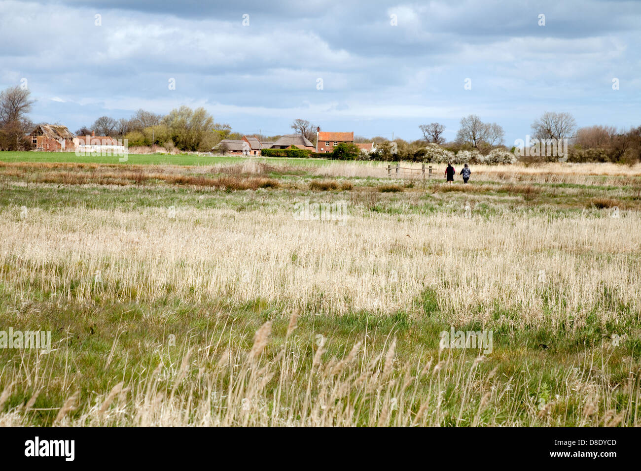 Les gens marcher dans la distance en Norfolk, Horsey Village, East Anglia, Royaume-Uni Banque D'Images