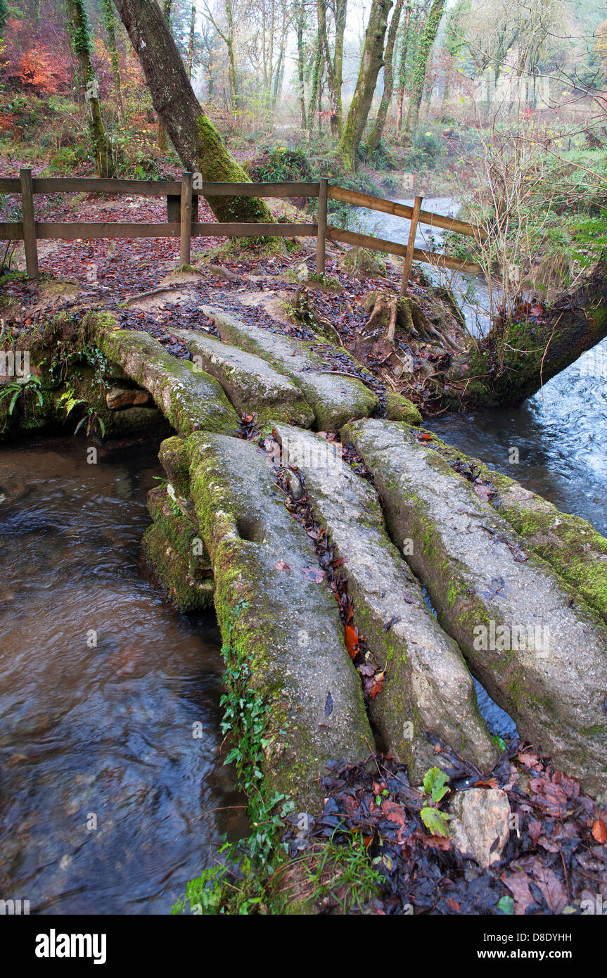 L'ancien ' dame vale ' clapper bridge à Cardinham woods, Cornwall, UK Banque D'Images