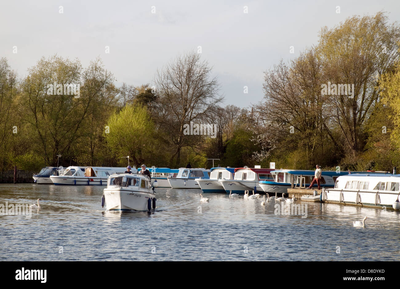 Norfolk Broads - bateaux amarrés sur la rivière Bure à Wroxham, Norfolk, East Anglia, Royaume-Uni Banque D'Images