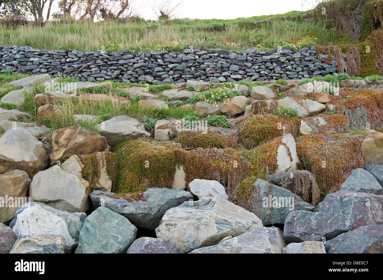 Mur en pierre sèche et la défense de la mer des rochers sur Suffolk coastal pente. Banque D'Images