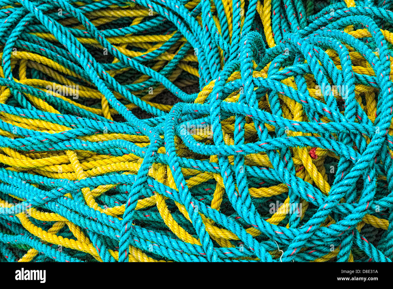 Net commerciale Banque D'Images