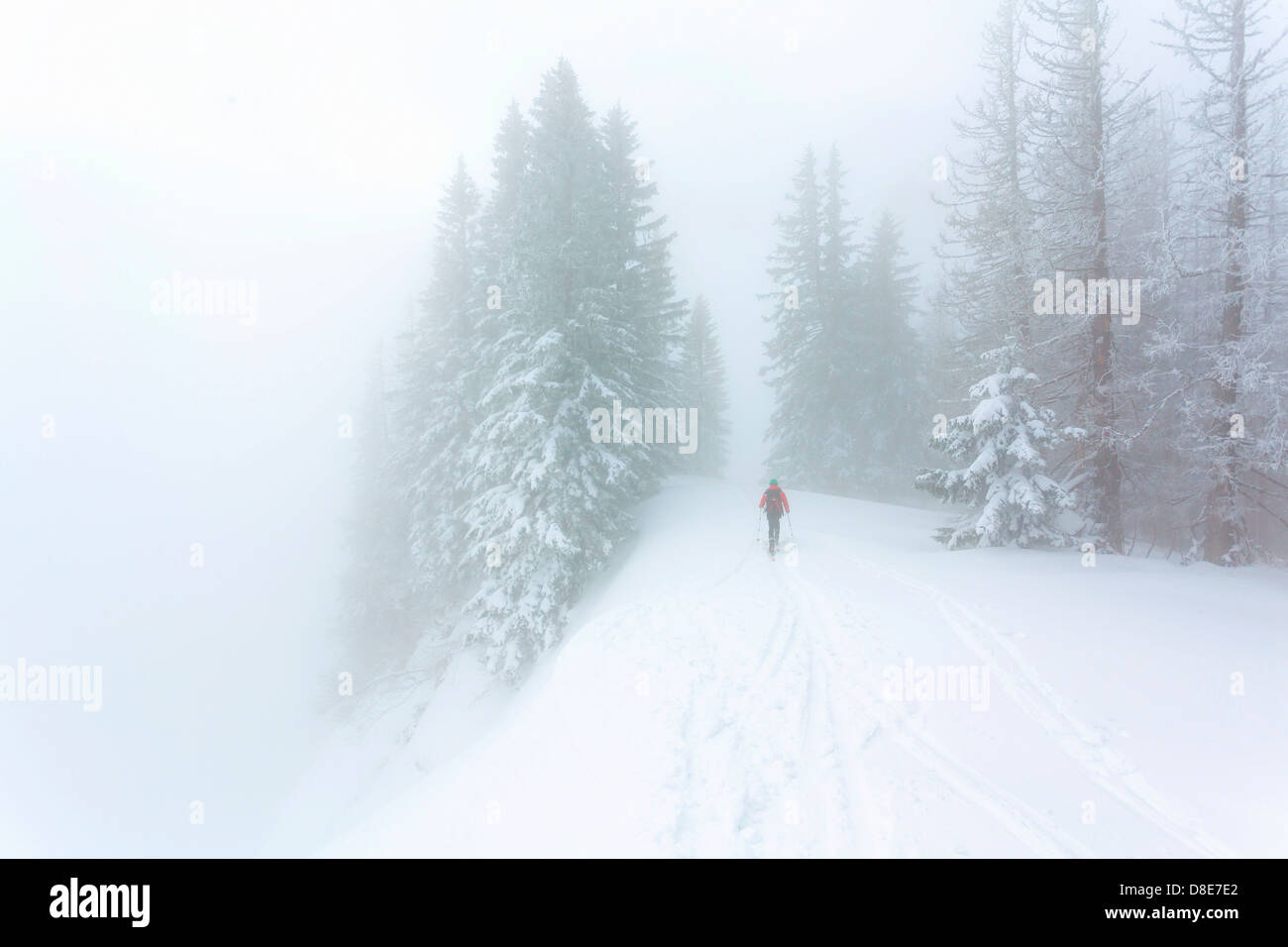 Randonneur à ski dans le Parc National de Kalkalpen, Autriche Banque D'Images