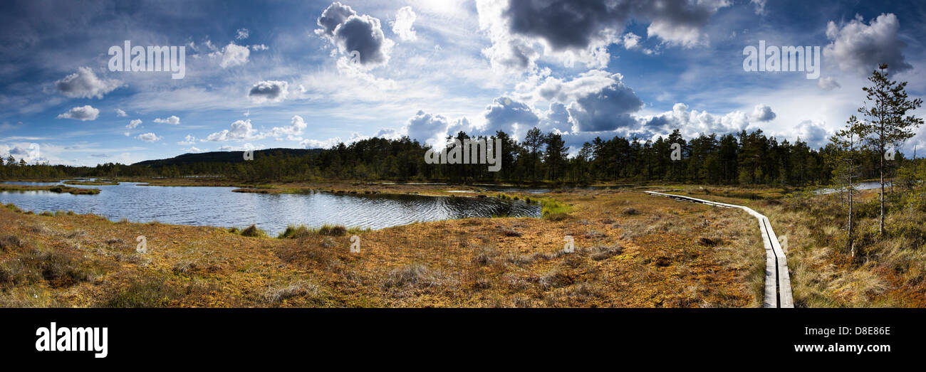 Knuthoejdsmossen Vaestmanland, réserve naturelle, Oerebro Laen, Suède, Europe Banque D'Images