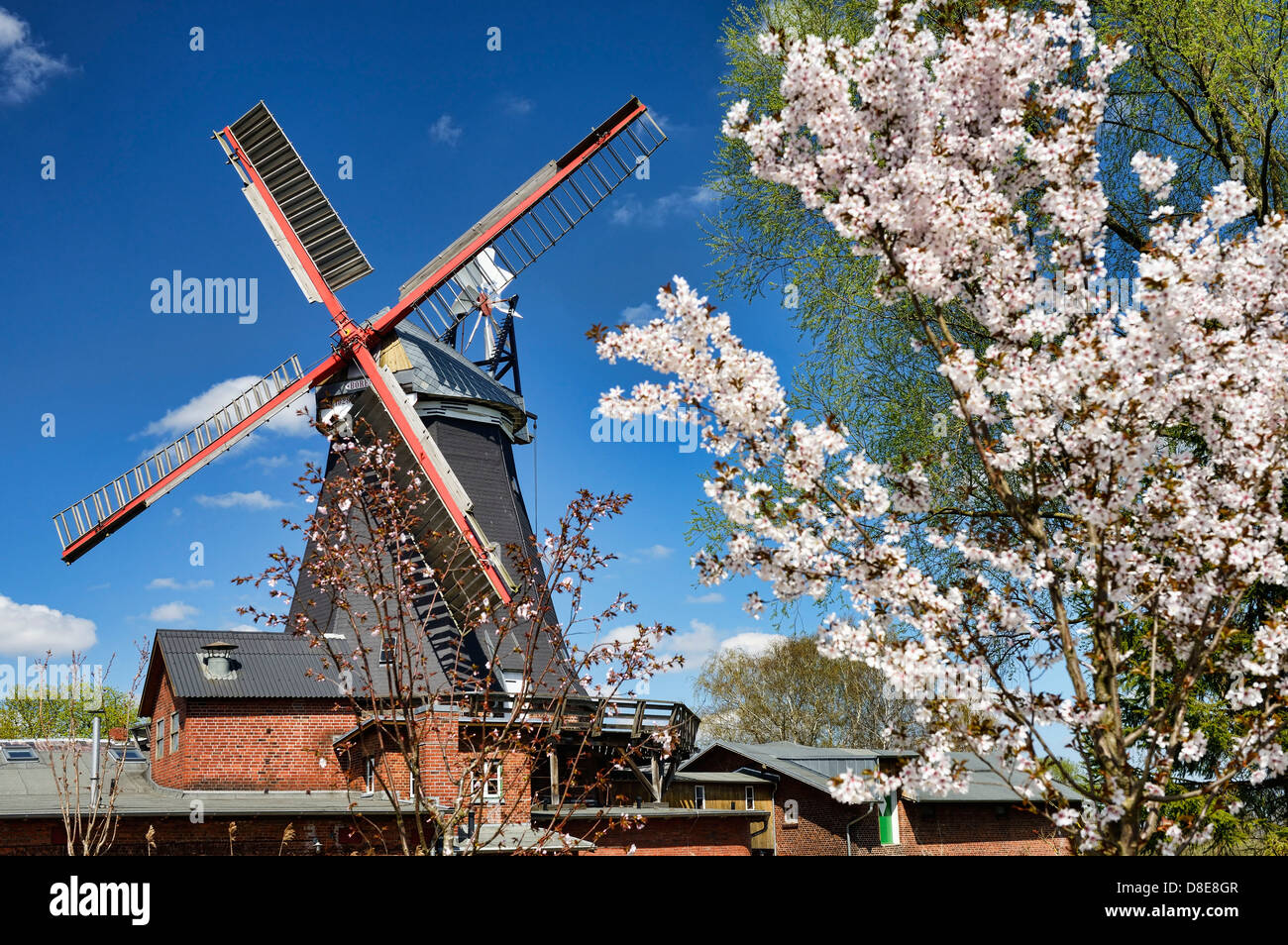 Riepenburger Muehle, moulin, Borée à Kirchwerder, Hamburg, Deutschland, Europa Banque D'Images