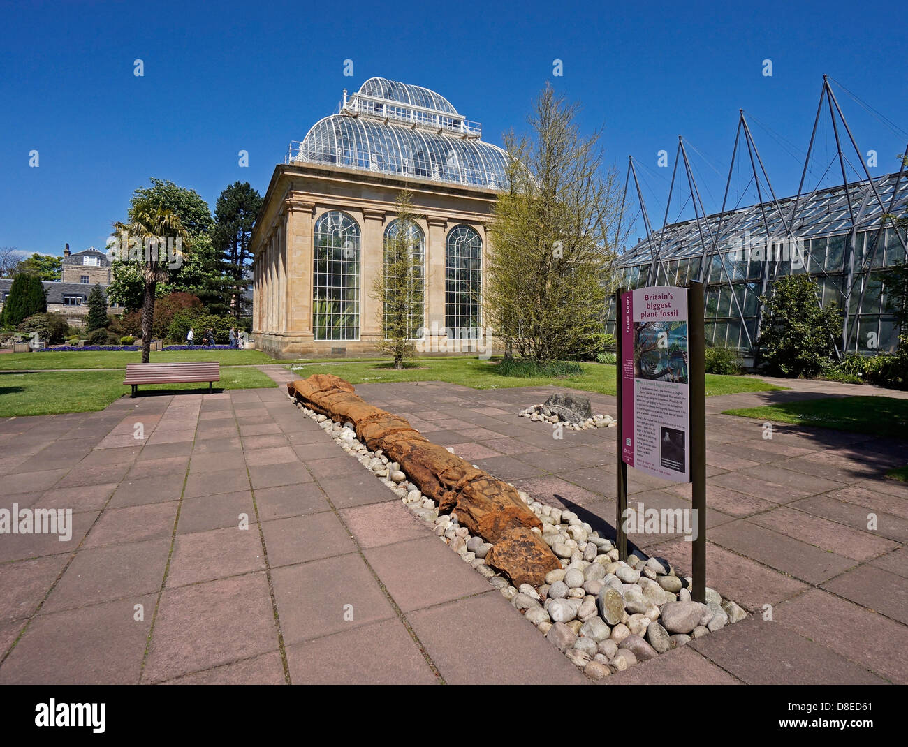 Combustibles Cour et Palm House à Royal Botanic Garden Edinburgh Scotland Banque D'Images