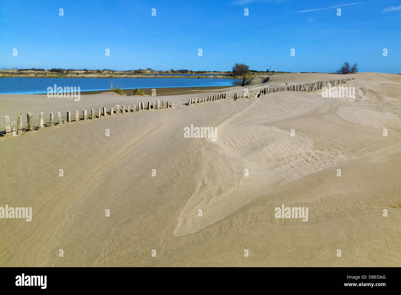 Plage de l'Espiguette, Le Grau du Roi, Gard, Languedoc-Roussillon, France Banque D'Images