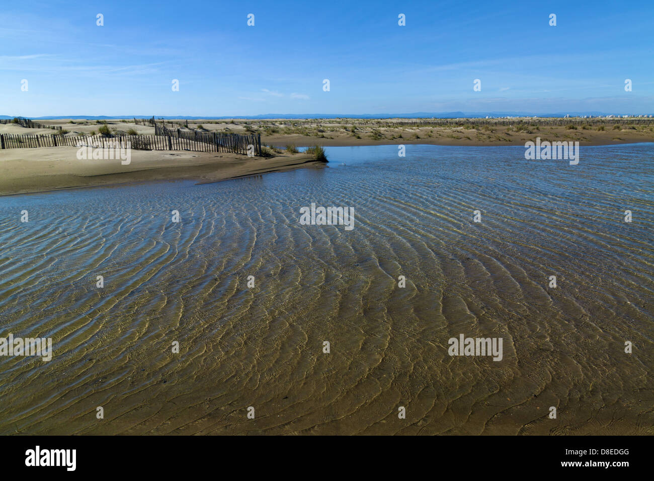 Plage de l'Espiguette, Le Grau du Roi, Gard, Languedoc-Roussillon, France Banque D'Images