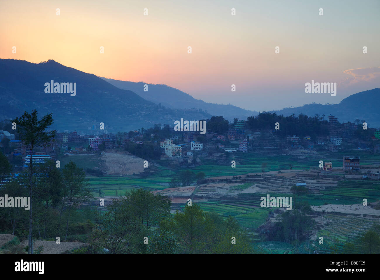 Les champs en terrasses, Dhulikhel, Vallée de Katmandou, Népal Banque D'Images