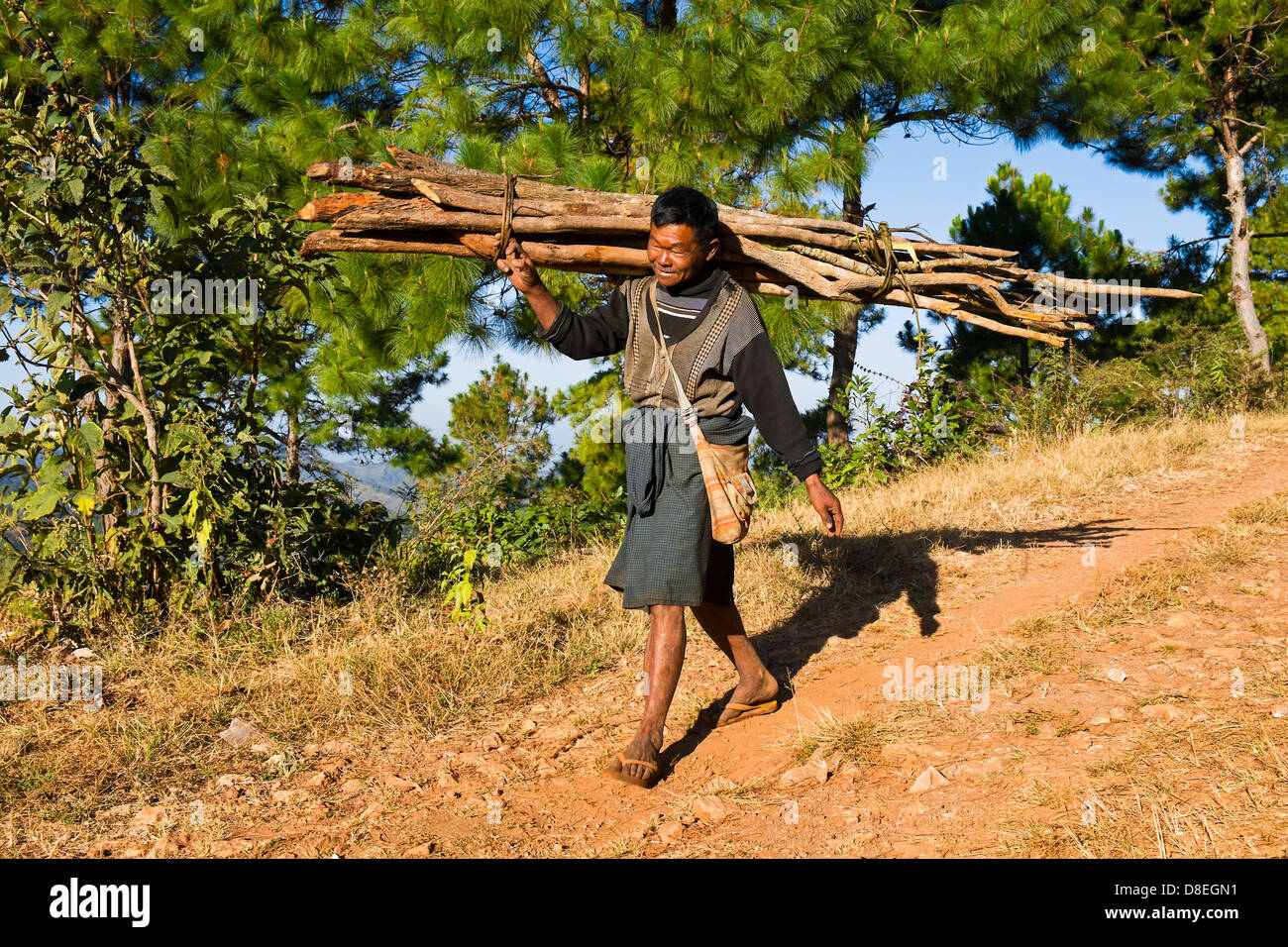 Homme transporter le bois, Kalaw, Myanmar Banque D'Images