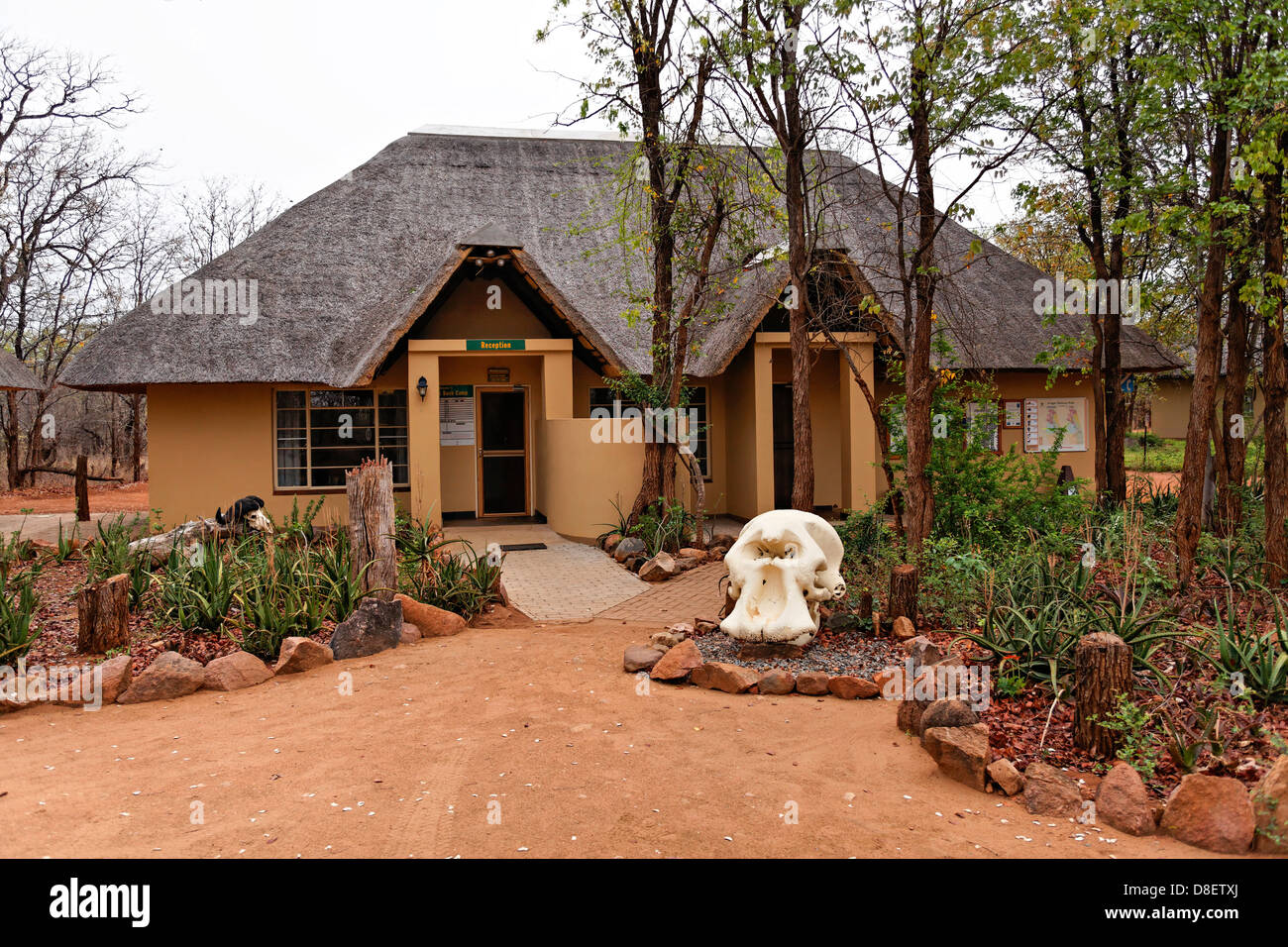 Sirheni accueil du camping avec crâne d'éléphant à l'entrée du Parc National Kruger en Afrique du Sud Banque D'Images