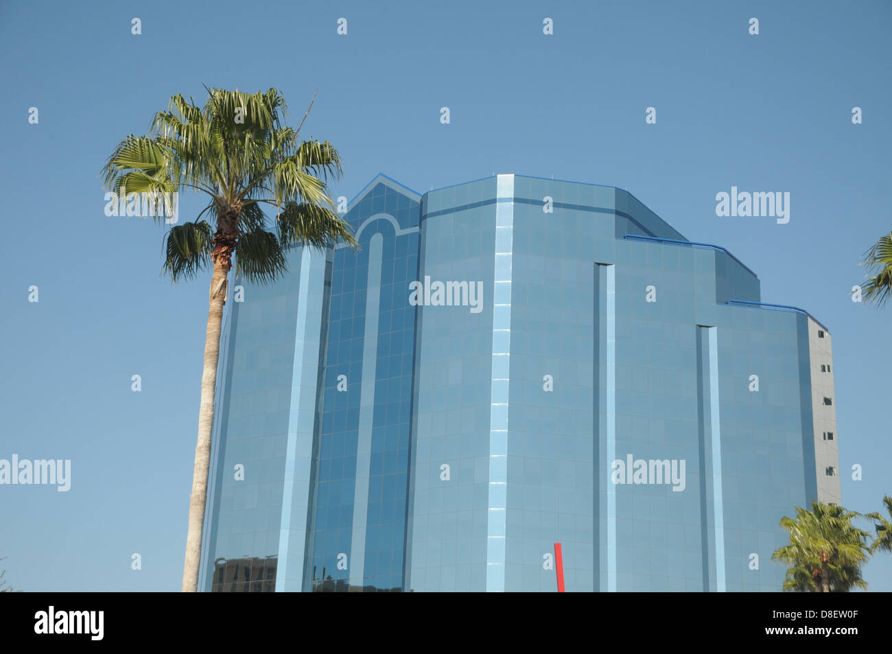 Palmiers s'élever vers le ciel près du bâtiment Chase à Sarasota, Floride. Banque D'Images