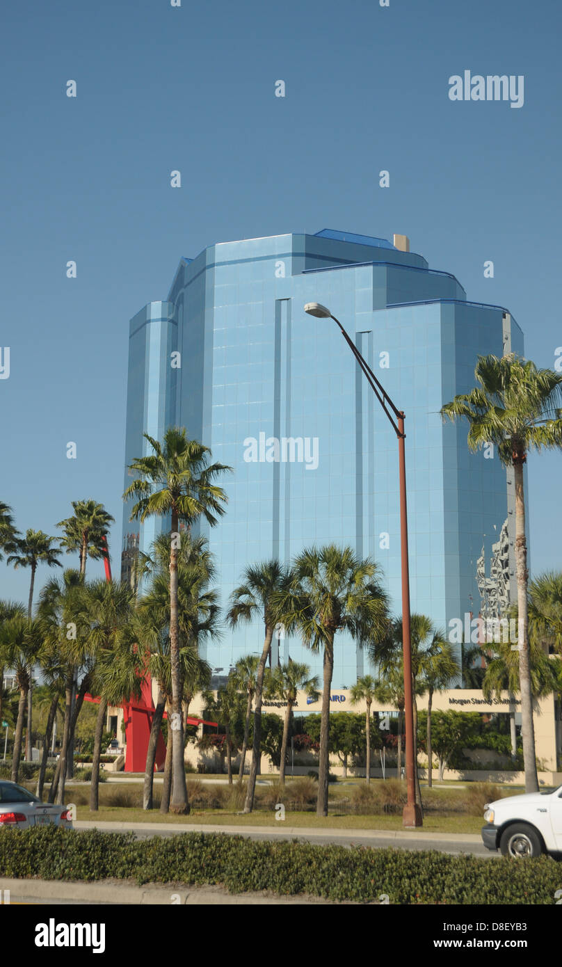 Palmiers s'élever vers le ciel près du bâtiment Chase à Sarasota, Floride. Banque D'Images