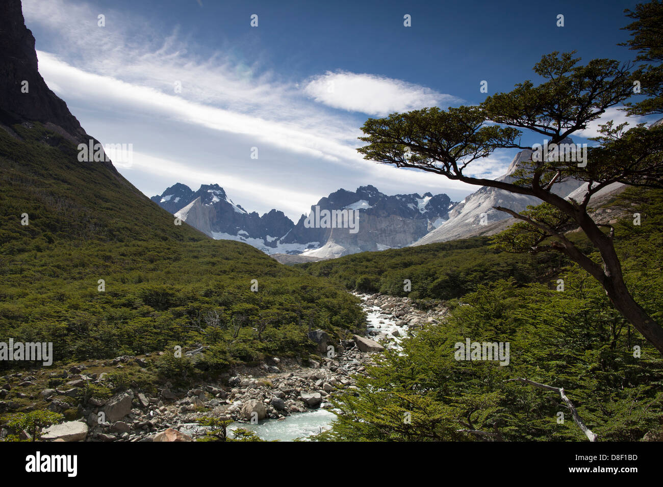 Montagnes, forêts et rivières glaciaires vu du Mirador Frances dans le Parc National des Torres del Paine Banque D'Images