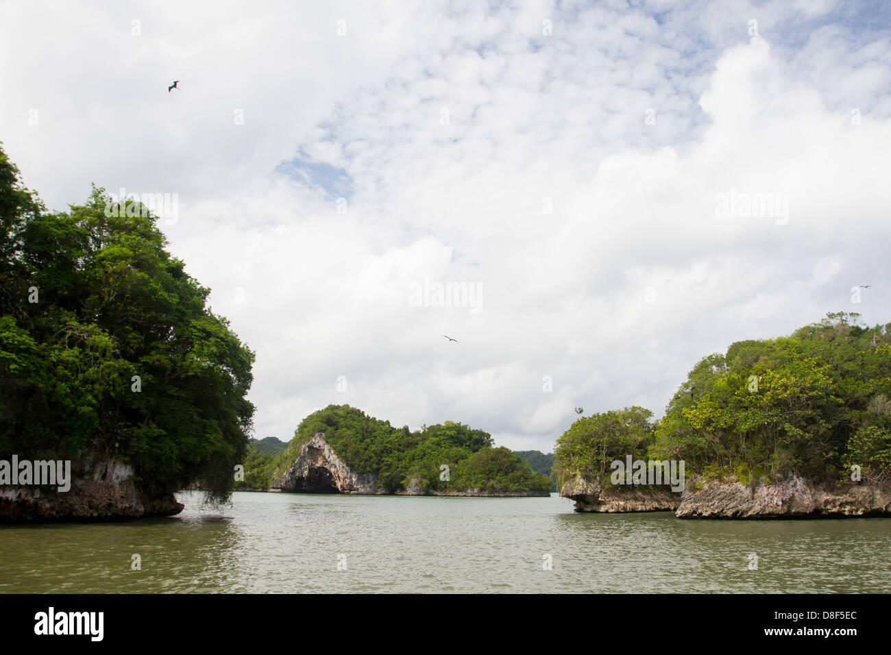 Parc national Los Haitises, Samana, République dominicaine. Banque D'Images
