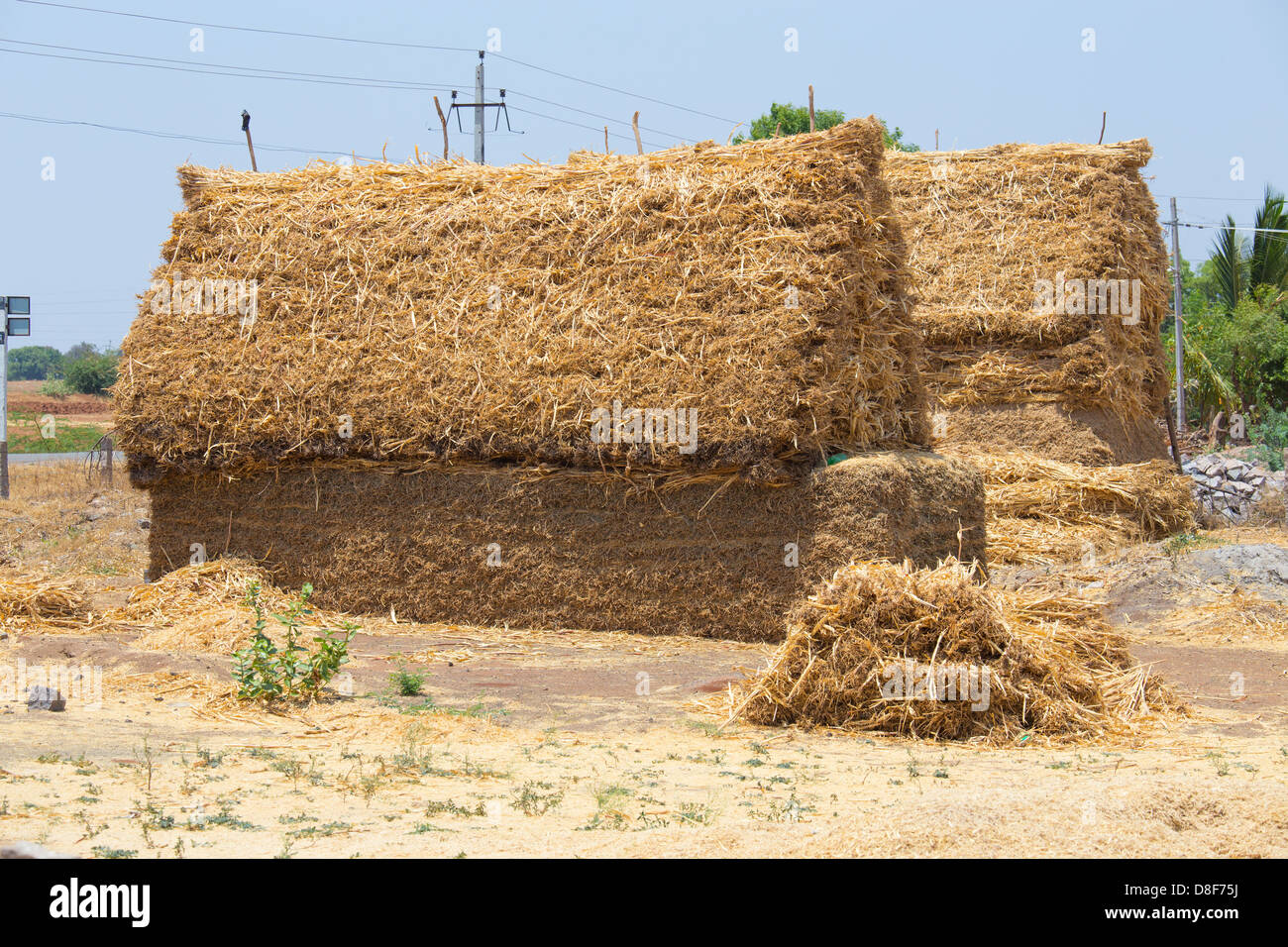 Hay empilés dans Carataka, Inde Banque D'Images
