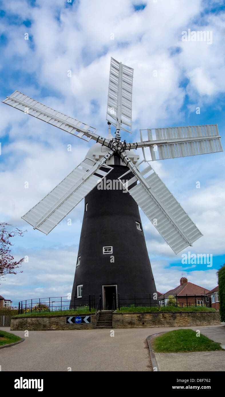 Moulin à vent Holgate avec ses murs de mortier de chaux de rendu noir et ses voiles blanches.York, Royaume-Uni Banque D'Images