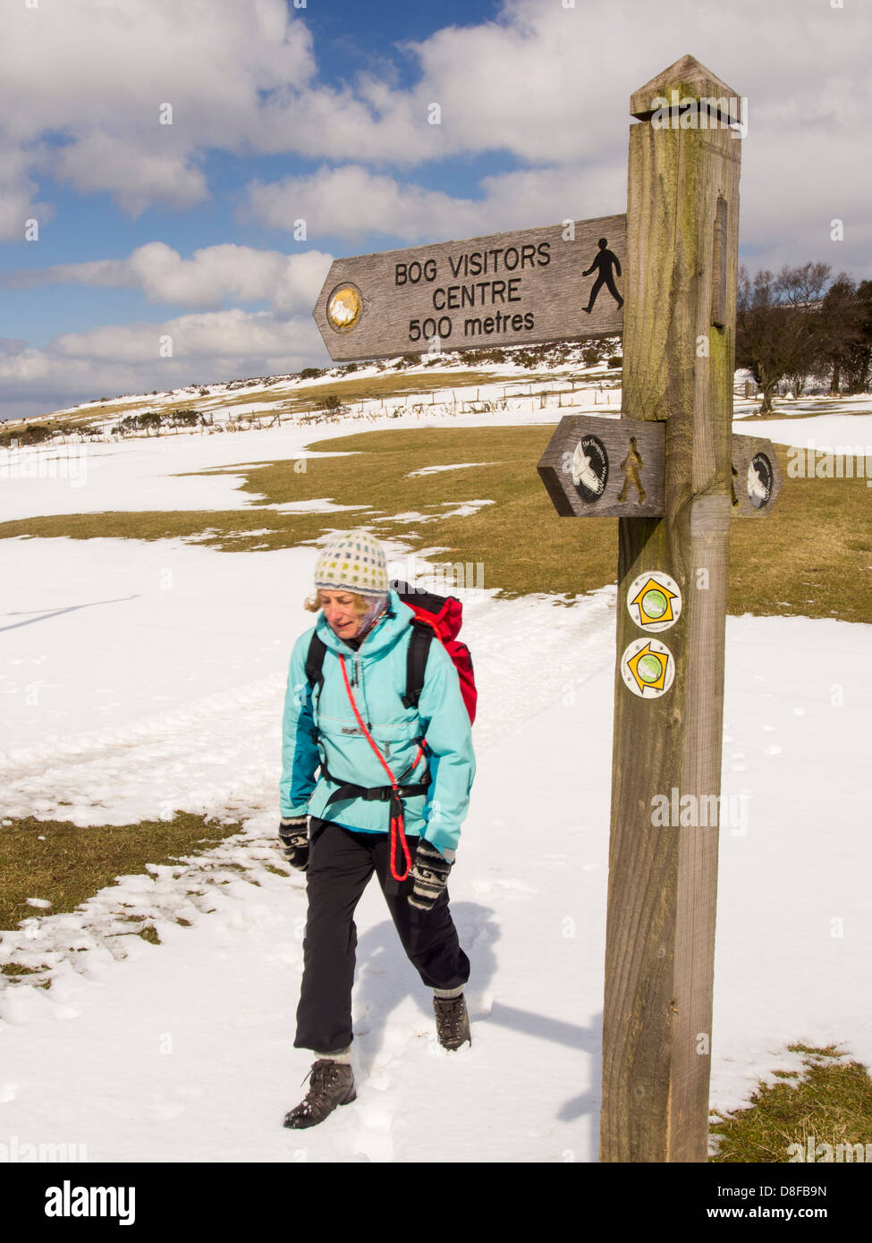 Une femme marche sur les Stiperstones, Shropshire, au Royaume-Uni. Banque D'Images