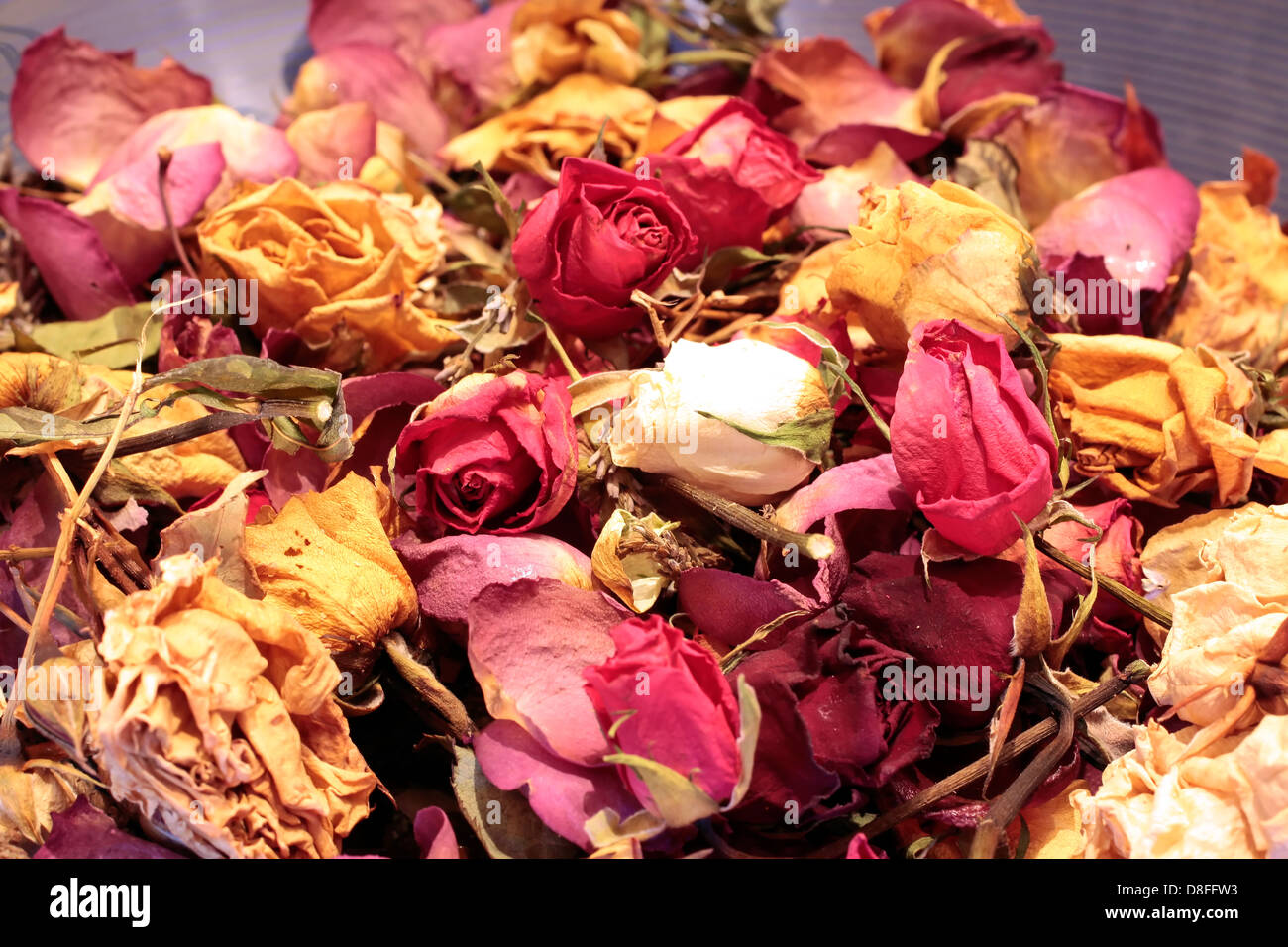 Close-up d'un pot-pourri de roses séchées colorées Banque D'Images