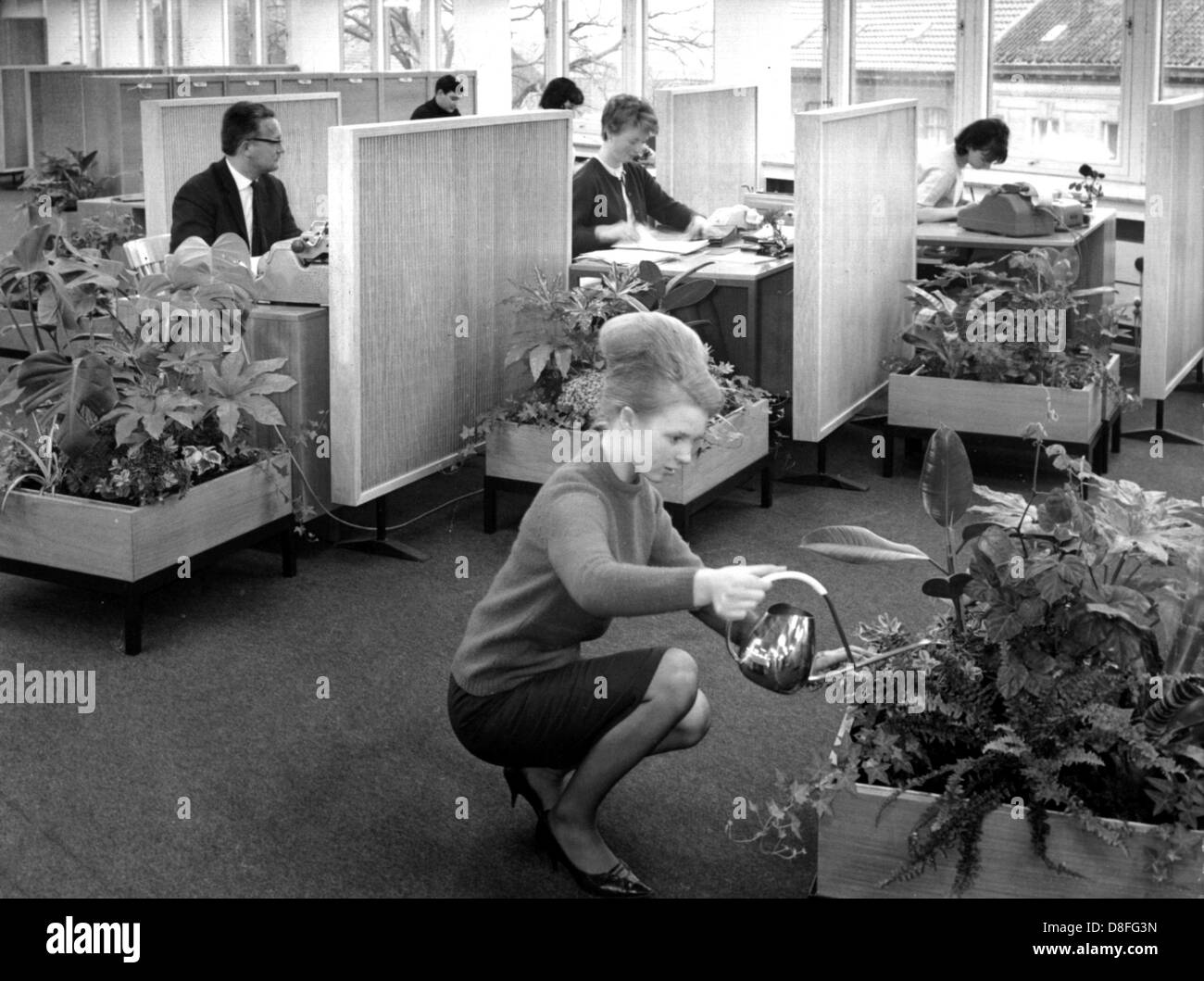 Une jeune femme fleurs des eaux qui sont situés dans un bureau d'une société en Gerresheim près de Duesseldorf, photographié en mai 1965. Banque D'Images