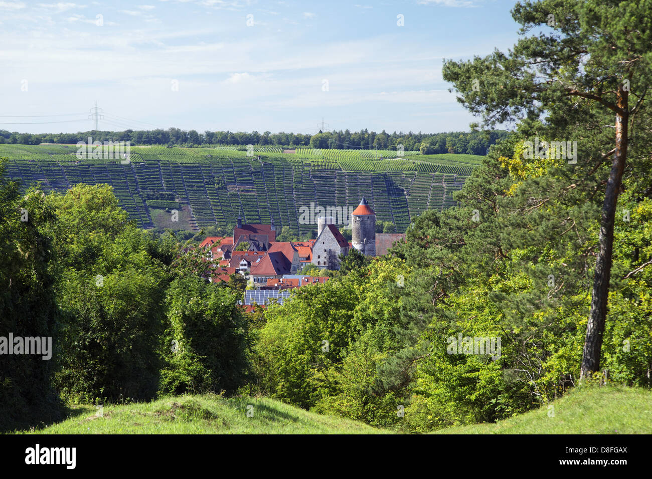 Allemagne, Bade-Wurtemberg, Besigheim ; Ausichtspunkt, vignoble de terrasses, Deutschland, Bade-Wurtemberg, Besigheim ; Aussicht Banque D'Images