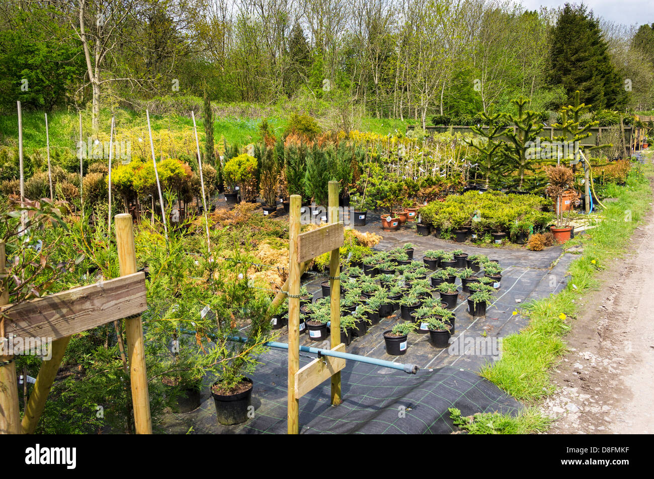 Garden centre, Angleterre, Royaume-Uni Banque D'Images