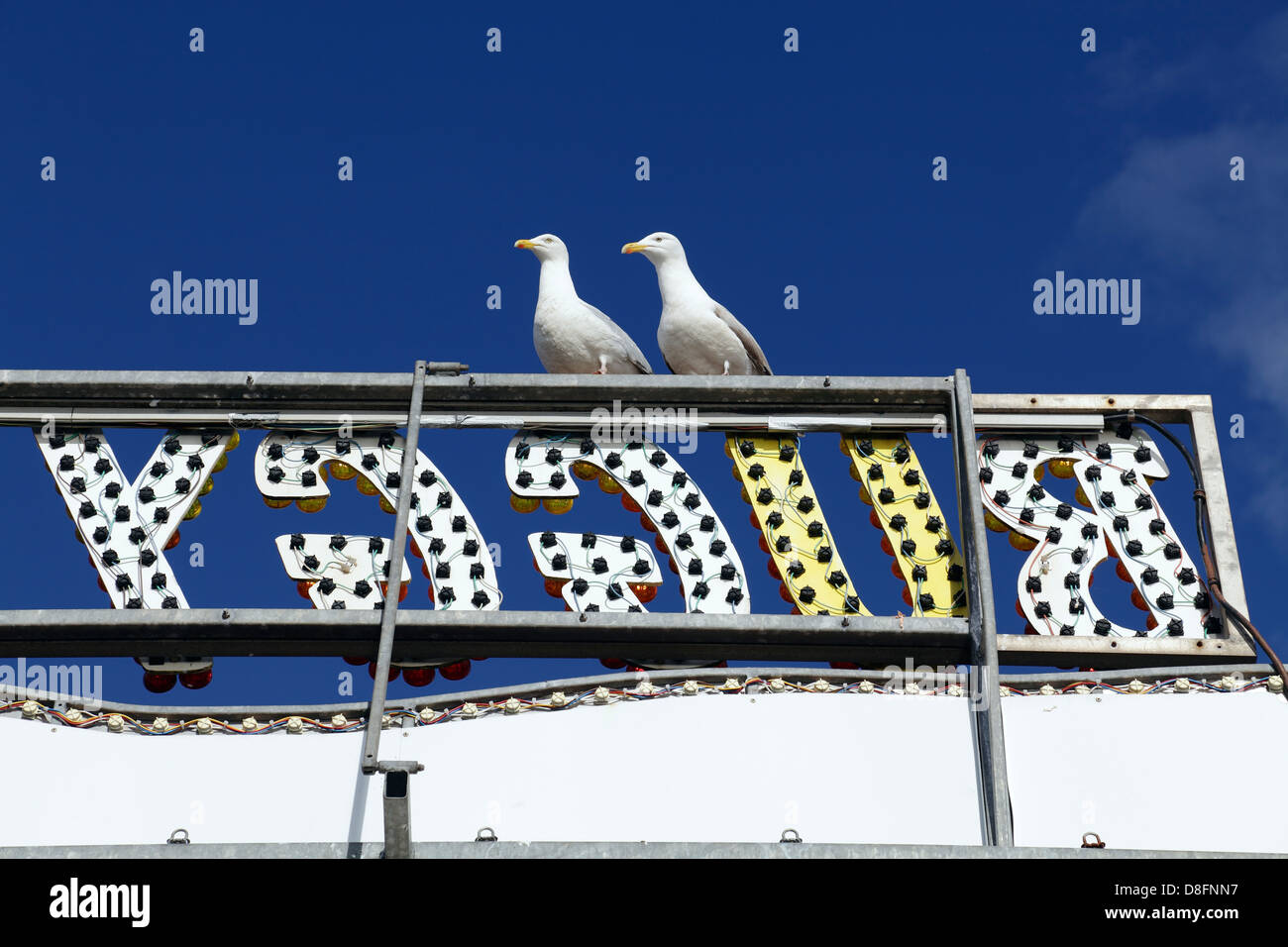 Deux mouettes perchées sur un panneau à une foire, UK Banque D'Images