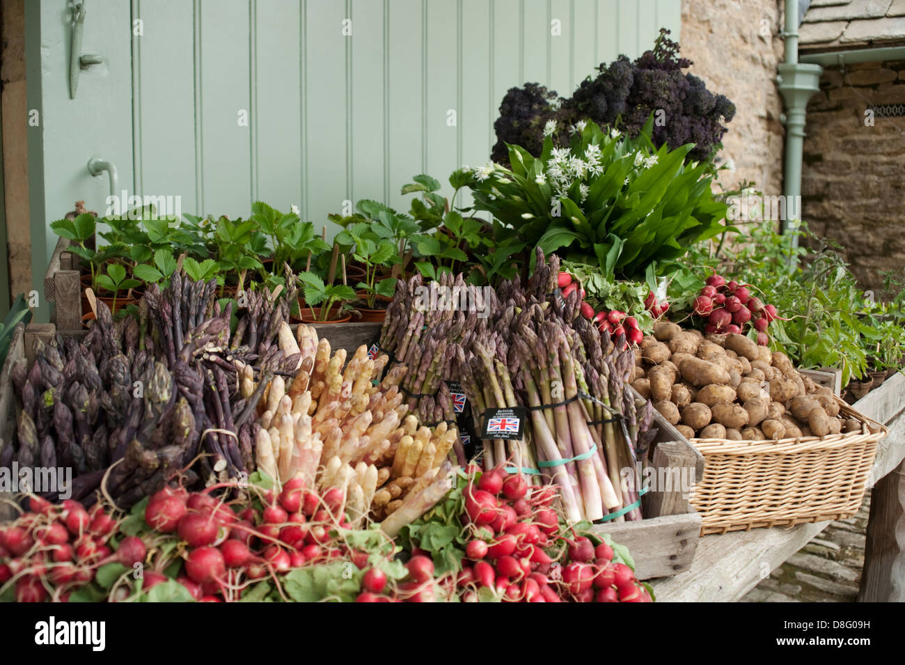 La fête d'été à daylesford organic farmshop à kingham, Gloucestershire, Angleterre, Royaume-Uni. Banque D'Images