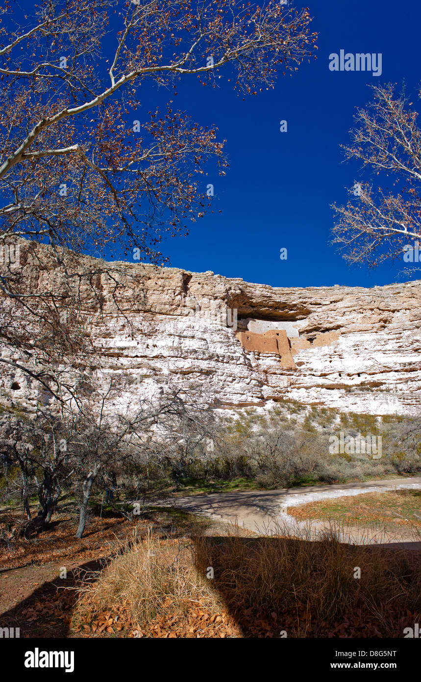 Panorama vertical de la falaise calcaire préservé logements à Montezuma Castle National Monument en dehors de Camp Verde, en Arizona Banque D'Images