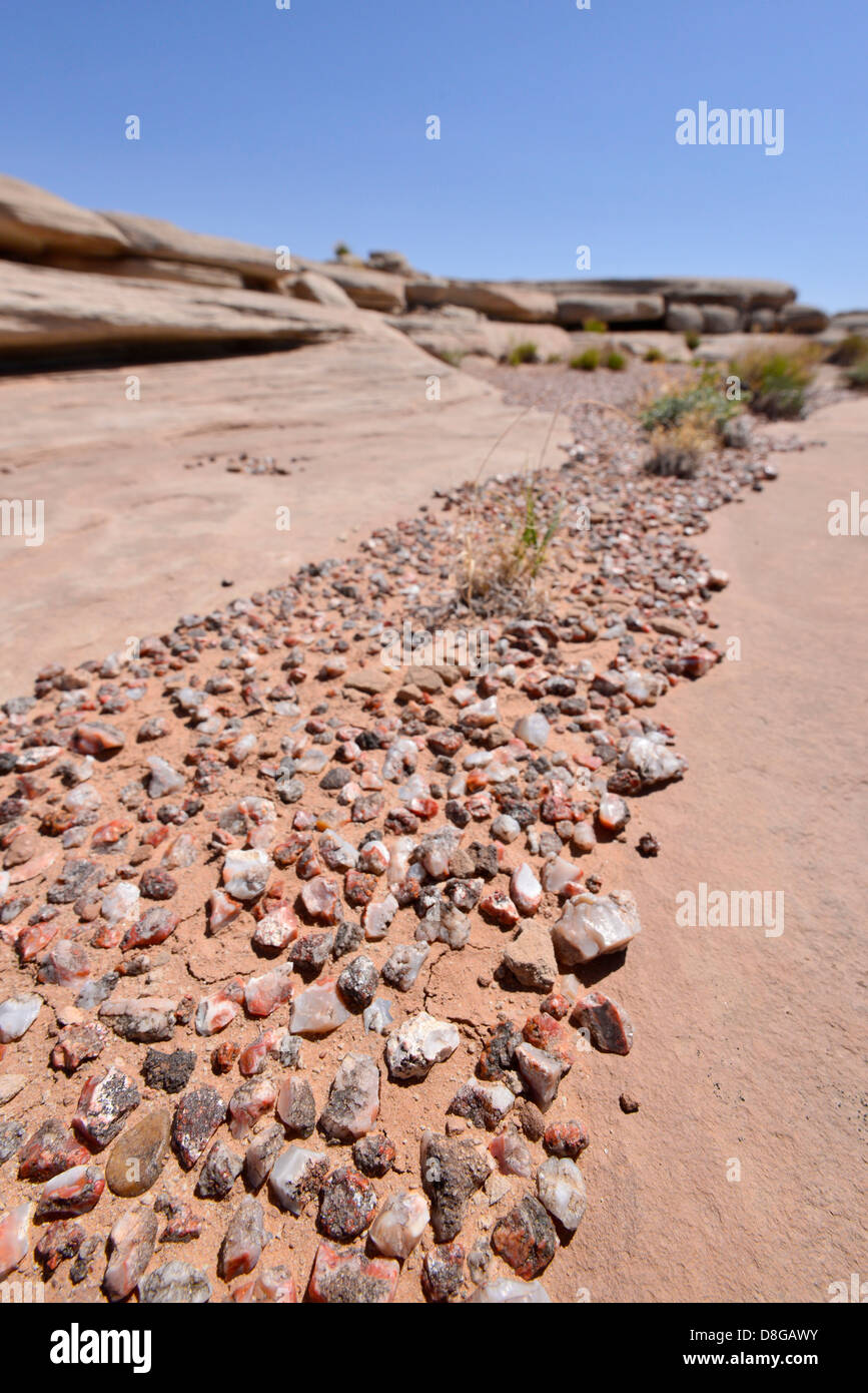 Smail rocks dans le désert de l'Utah du sud. Banque D'Images