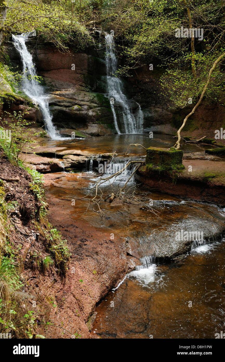 Cascade principale à Pwll-y-Wrach, Talgarth, Powys, Wales Banque D'Images