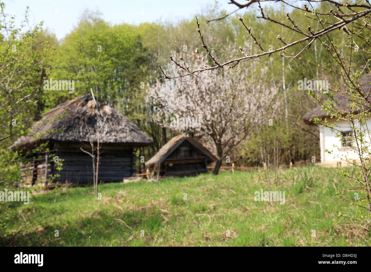 L'Ukraine, campagne Banque D'Images