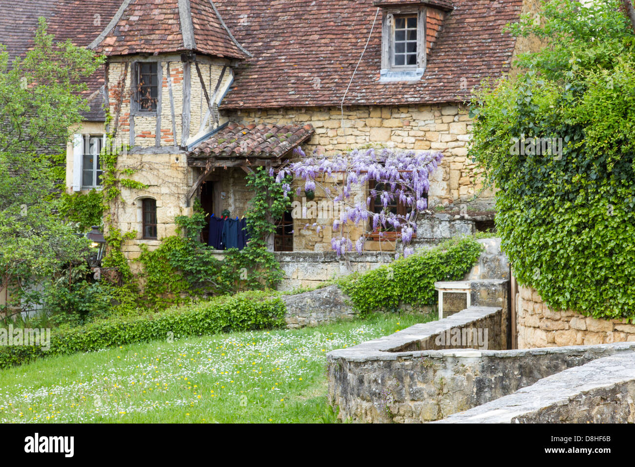 De plus en plus charmant sur Wisteria cottage avec toit de tuiles de grès à Sarlat, Dordogne France Banque D'Images
