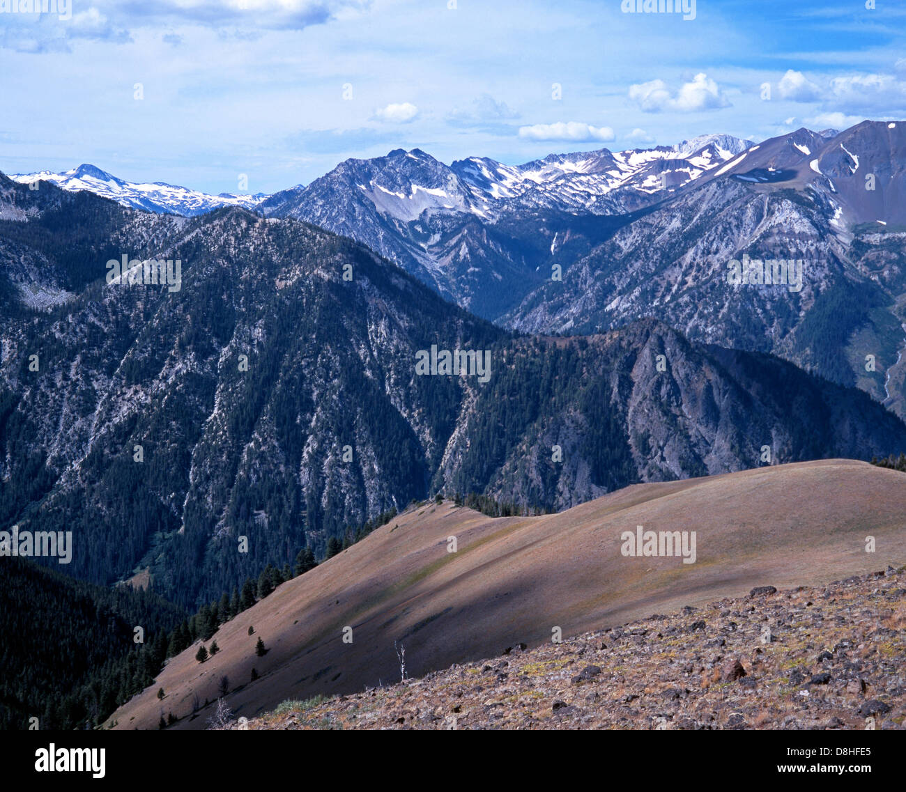 Cap de l'aigle située dans la forêt nationale de Wallowa- Whitman, Oregon, USA Banque D'Images