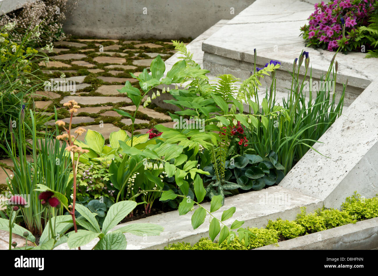 Crazy paving et vivaces plantation dans le jardin en friche au RHS Chelsea Flower Show 2013, Londres, Royaume-Uni. Banque D'Images